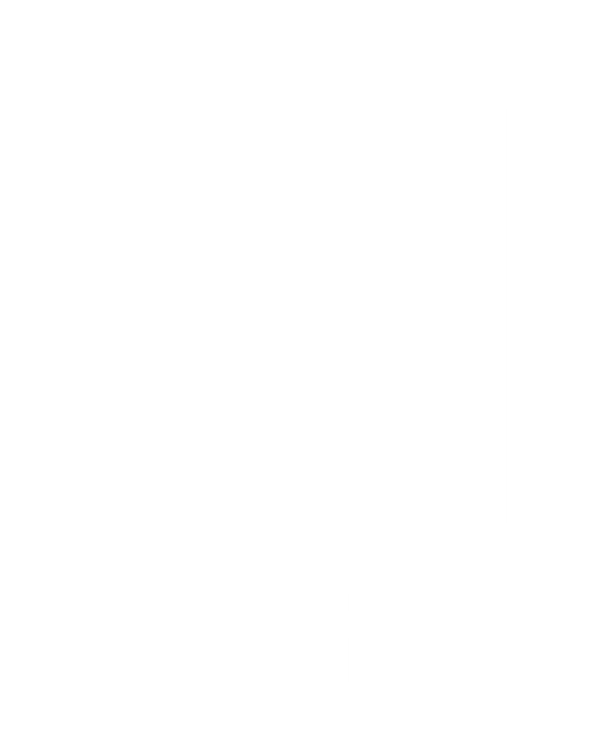 BATIFER
